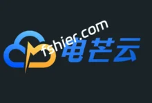 dianmang(电芒云)，美国BGP云服务器测评分享-F12笔记