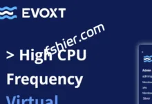 Evoxt德国法兰克福VPS测评数据分享~-F12笔记