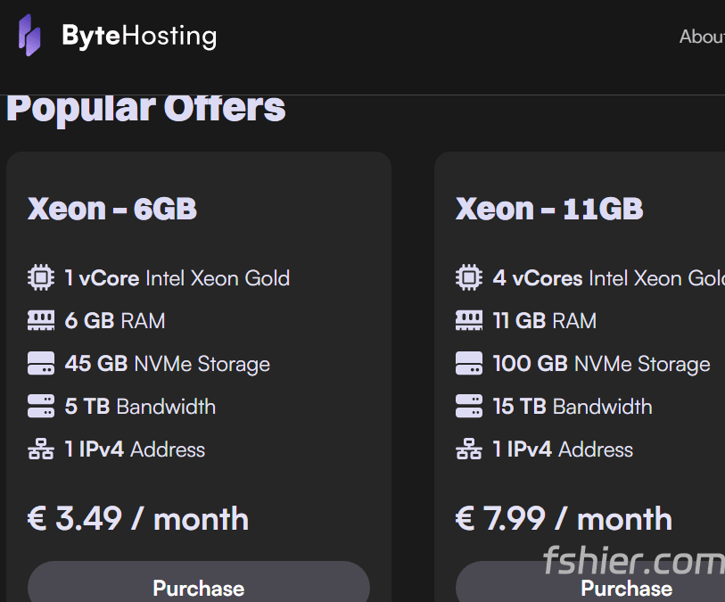 Bytehosting：法国VPS，€3.99/月 ，2核8GB/75GB NVMe/1Gbps@10TB流量