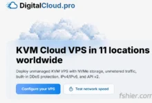 digitalcloud，日本东京VPS测评分享：EPYC 9555 单核2300+，但三网绕路是硬伤-F12笔记